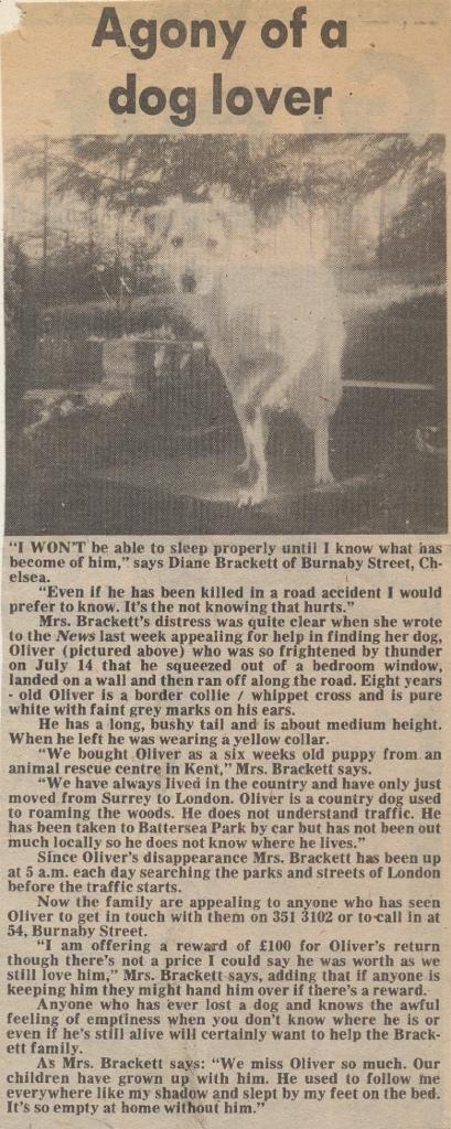 19820730 LOST DOG DIANE BRACKETT CN.jpg